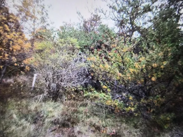 LOT 13 Northwood Dr, Grayling, MI 49738