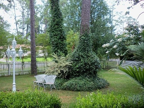 Front Yard