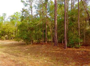 128 E Simms Ln, Citrus Springs, FL 34434