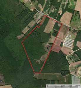 755 Race Track Rd., Nichols, SC, 29581