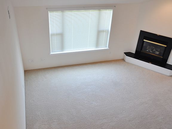 Granite Fireplace