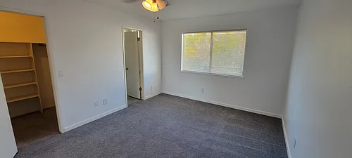 3125 Camellia Ct #4 Photo 1