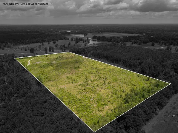 0 Horseshoe Ln, Petal, MS 39465