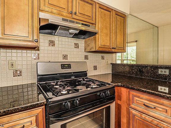 3rd image of 253 Resnik Ct