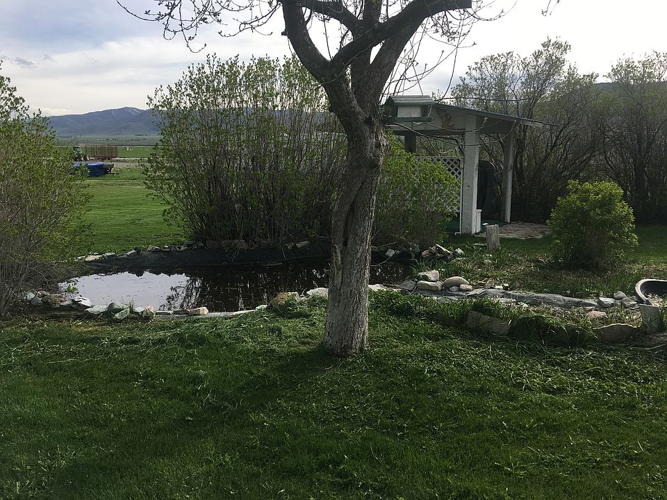 Beautiful pond in backyard 