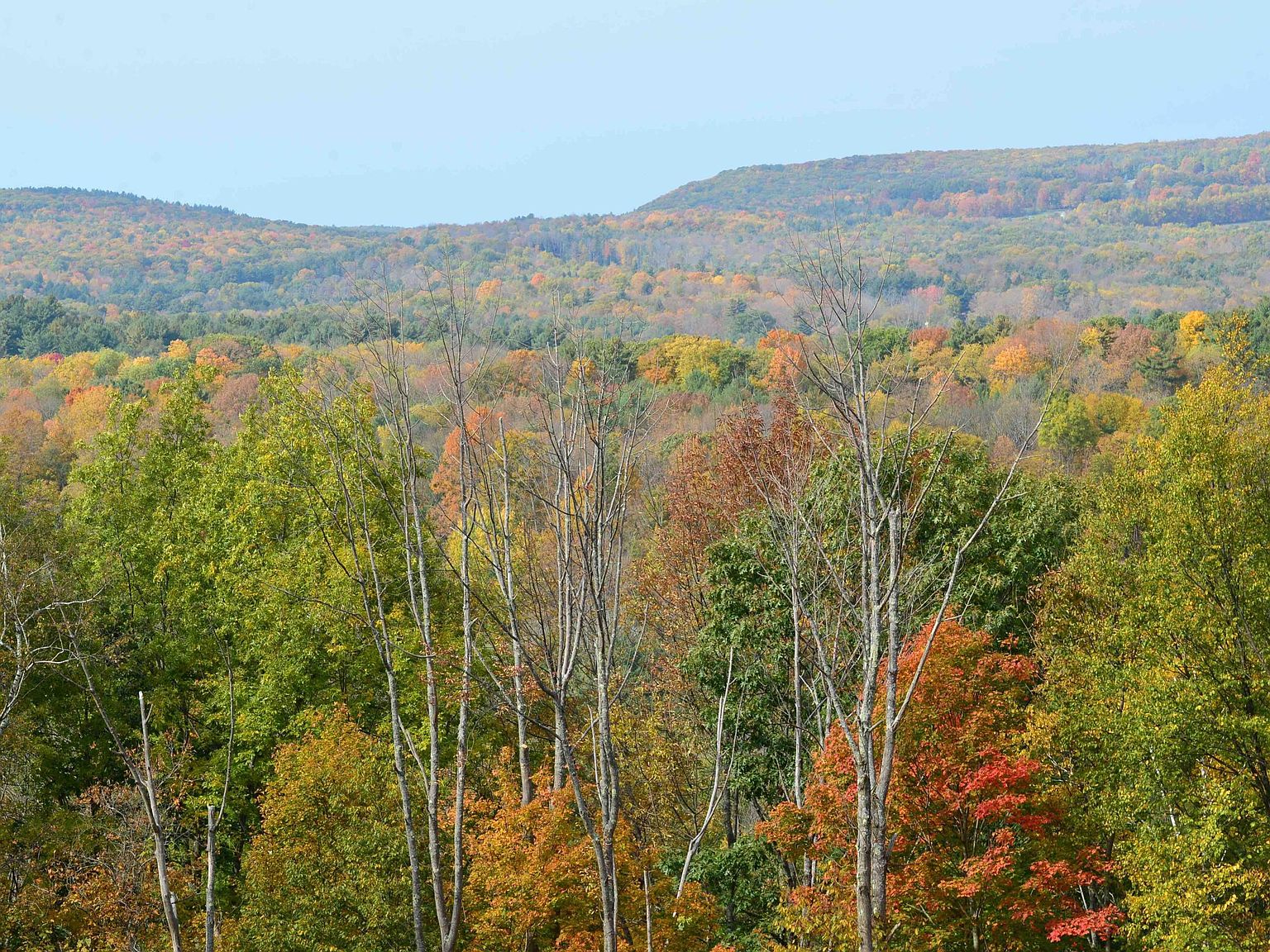 0 Lenox Rd, Richmond, MA 01254 Zillow