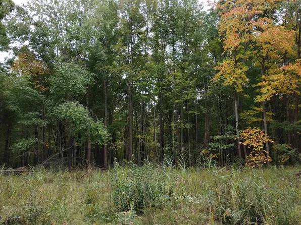 11587 Grames Rd, Milan, MI 48160