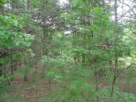 5th image of 02910 Huguenot Trl