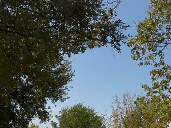 103234 Hillside Cir, Lone Oak, TX 75453