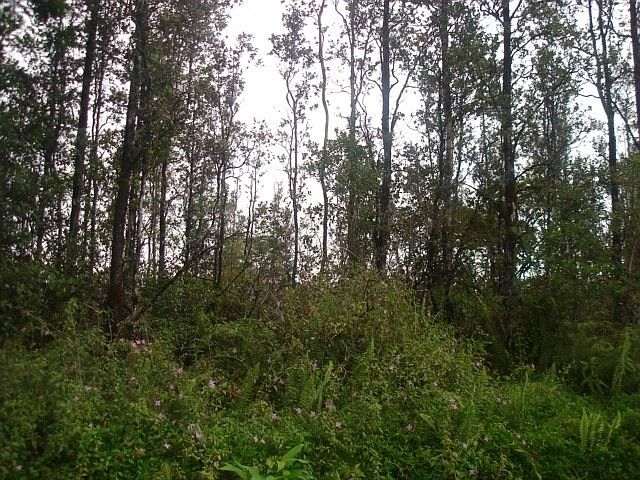 1st image of Uilani Dr Lot 13