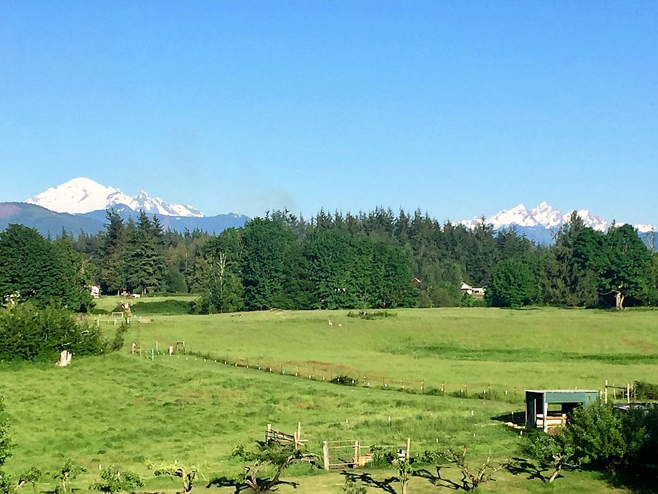 Mt. Baker view