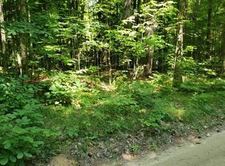 17339 Old Logging Rd, Hersey, MI 49639