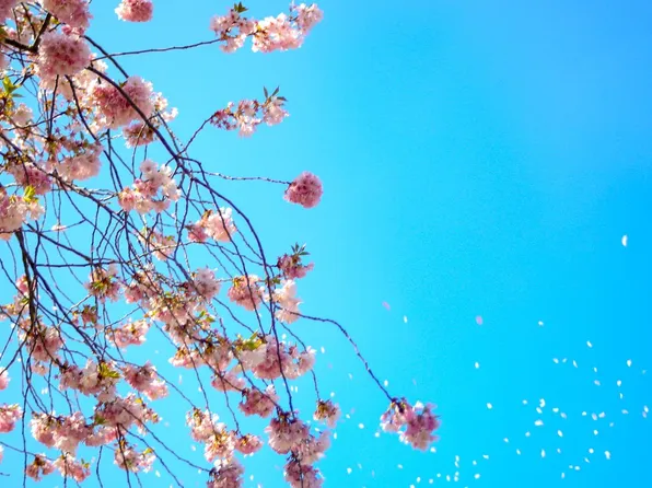 The Landings at Eagleridge Apartments