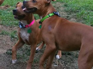 66 Red Maple Rd, Saugerties, NY 12477