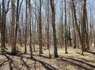 Badger Ranch Rd, White Lake, WI 54491