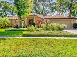 1911 Cimmaron Run Dr, Valrico, FL 33594