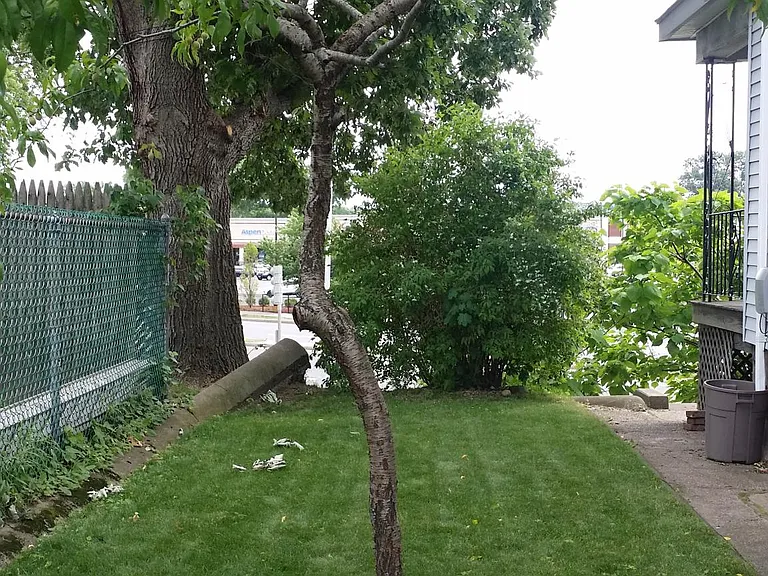 522 Riverside Ave — Photo 4