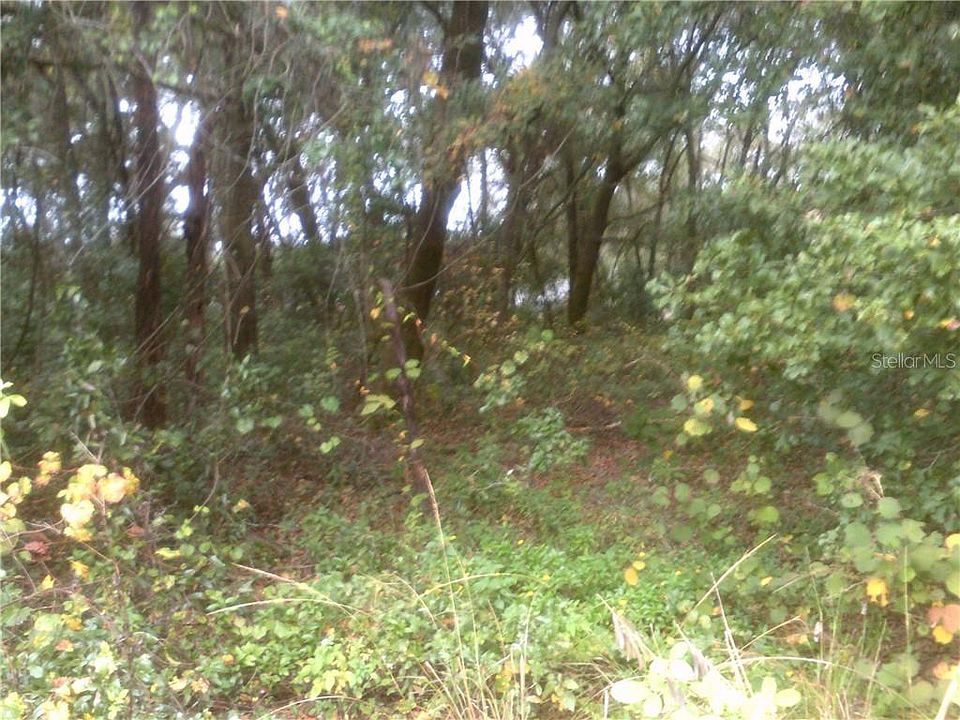 2nd image of 5931 Ellerbee Rd