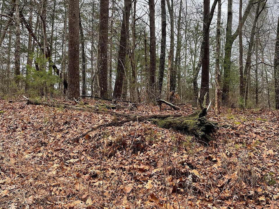 2nd image of Unicoi Lakes Rd