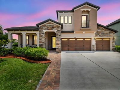 1796 Tonka Ter, Wesley Chapel, FL, 33543