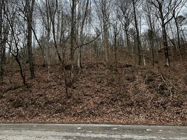 0 Paint Rock Rd, Oneida, TN 37841