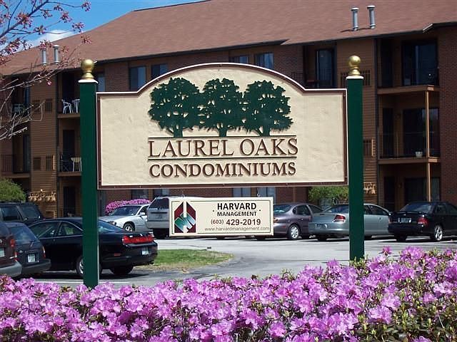 Lovely Laurel Oaks
