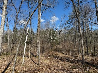 7 Yellow Birch Ln, Emily, MN, 56447