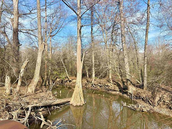 4th image of 0 Brushy Creek Rd