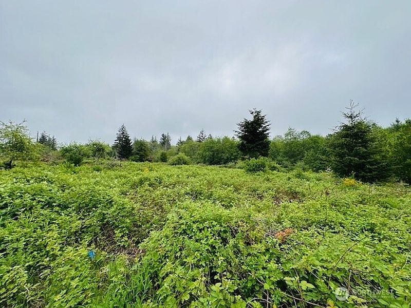 4th image of 4311 Bethel Road SE