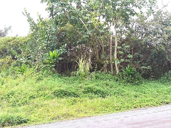 3rd image of 4th Ave Lot 2511