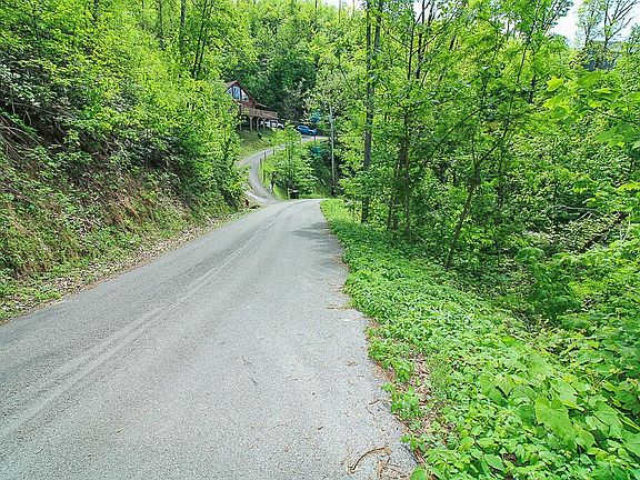 3rd image of 579 Crooked Ridge Rd Lot 579