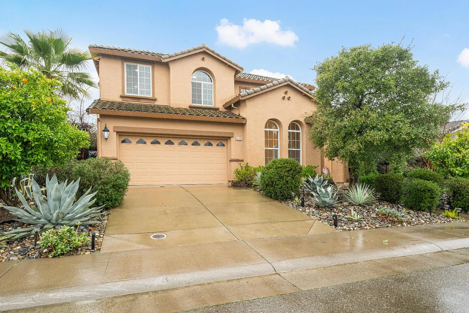 4035 Pinoche Peak Way photo 1