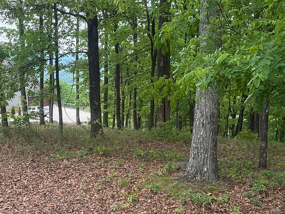 4th image of 38 Mountainside Ct