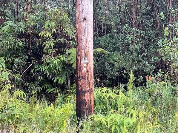 Road 3 Lot 121, Volcano, HI 96785