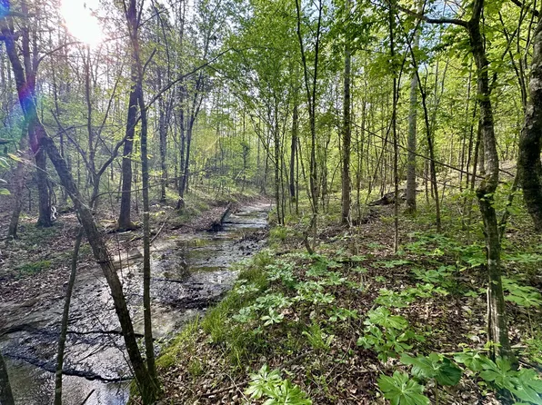 828 McCord Hollow Rd, Hohenwald, TN 38462