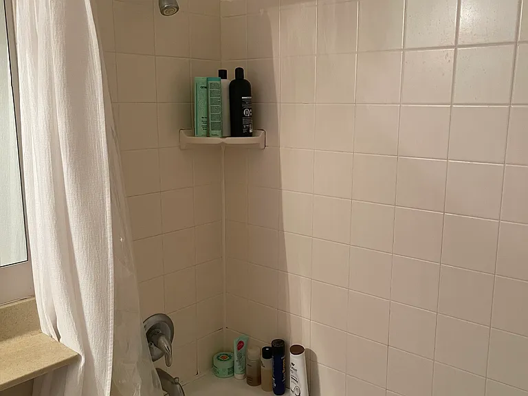 222 N Columbus Dr #2907 — Photo 8