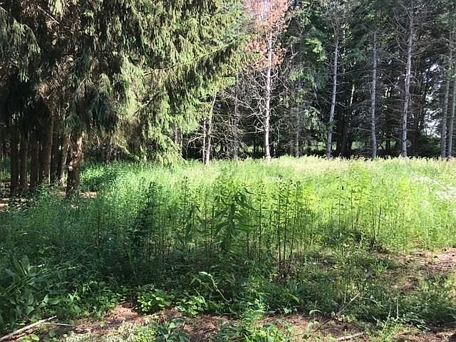 2nd image of 1508 Cranberry Pond Trl