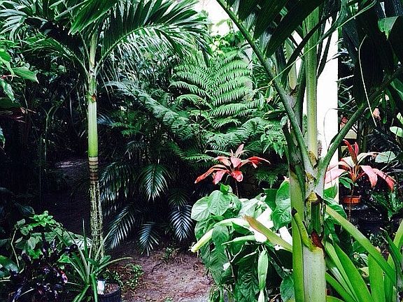 4th image of 7090 Orchid Tree Dr