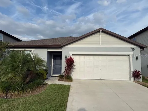 6684 Devlin Ln, Wesley Chapel, FL 33545