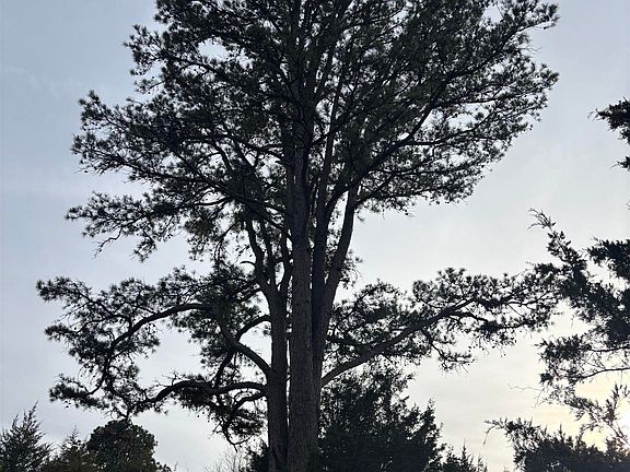 2nd image of 4475-4475 Heber Springs Rd W