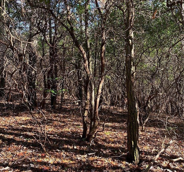 2nd image of 0000 Hawk Mountain Road