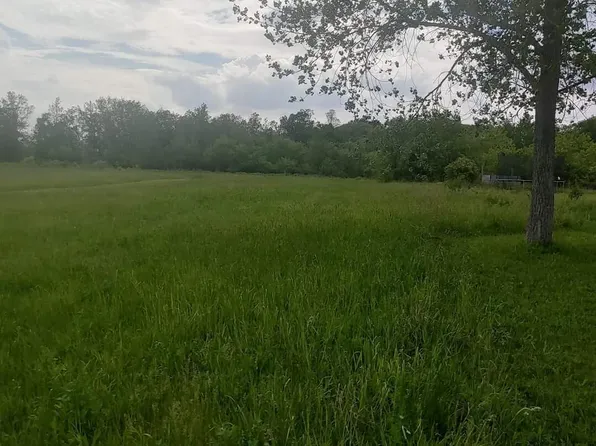 PARCEL Caine Rd #D, Vassar, MI 48768
