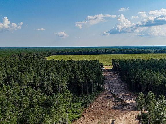 5th image of LOT 73 Posie Forest Rd