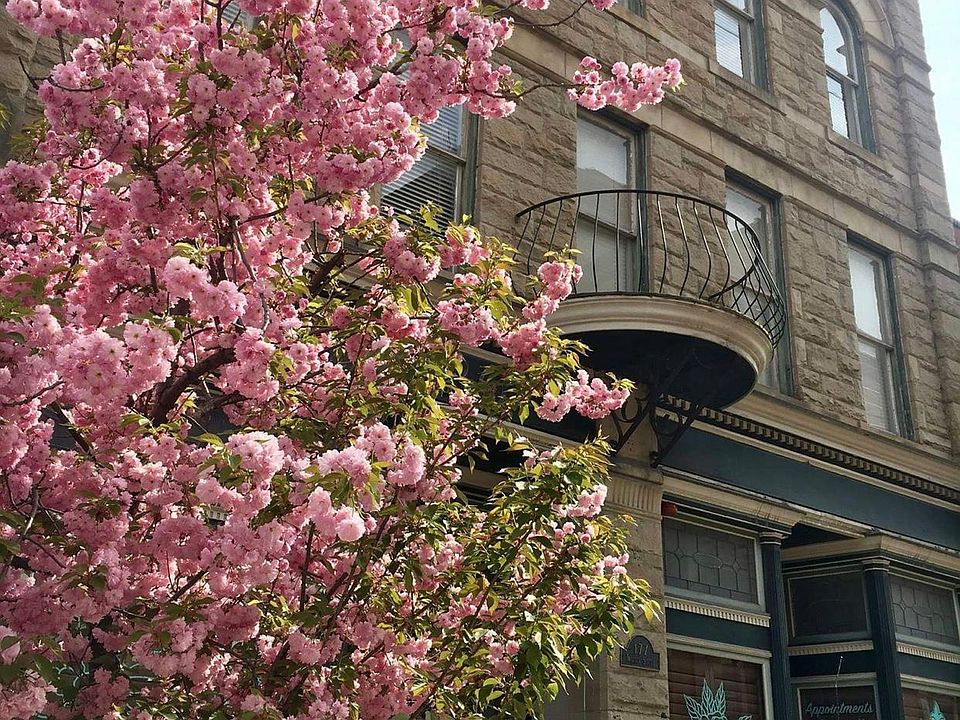 Exterior of 175 Walnut Street Apartments