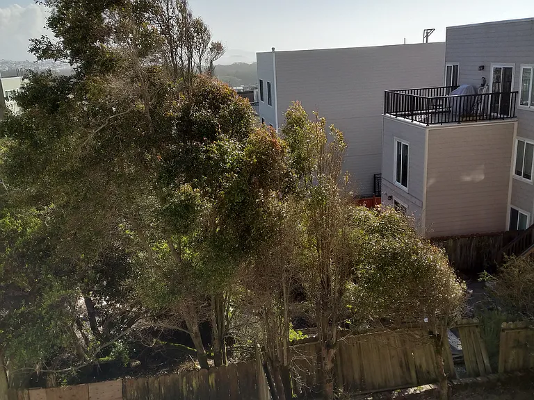 7525 Geary Blvd #1 — Photo 7