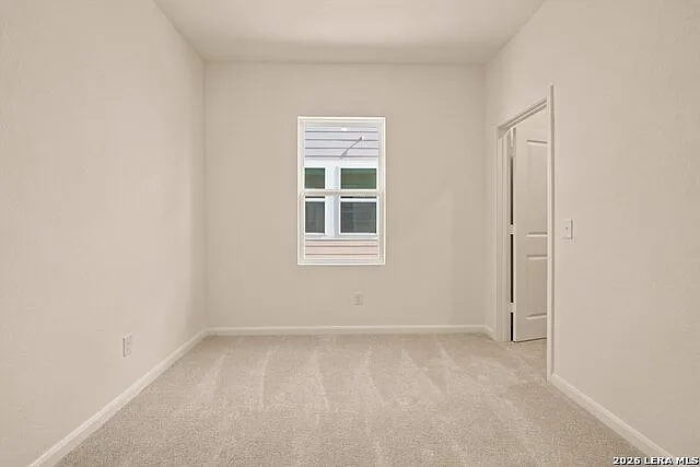 1117 King Eider — Photo 16