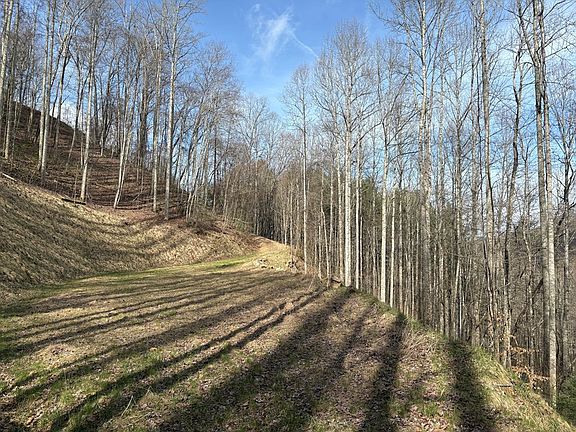 4th image of 269 Flowering Ridge Rd