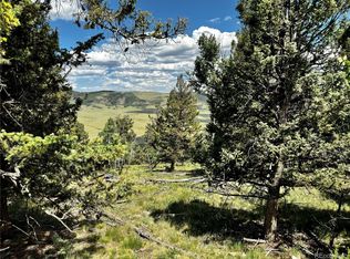 5366 Middle Fork Vis #529, Fairplay, CO 80440