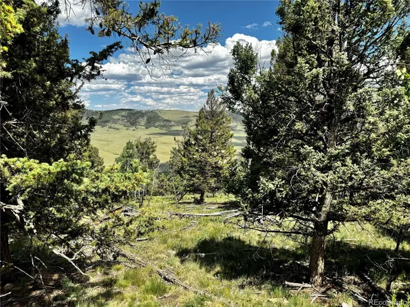 5366 Middle Fork Vista LOT 529, Fairplay, CO 80440