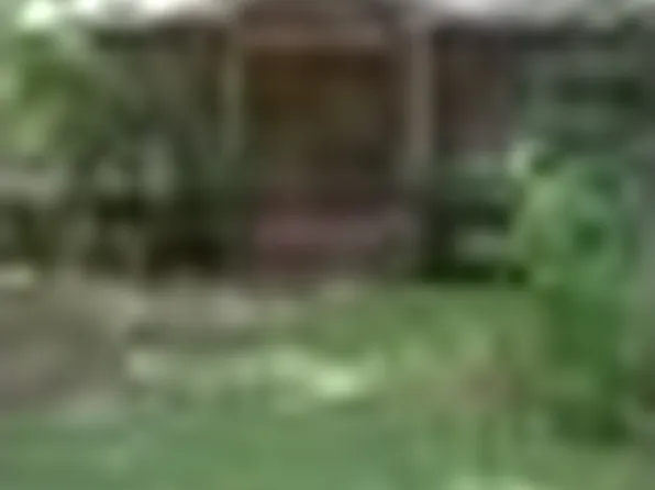 1326 S Cokley St, Lake Village, AR 71653